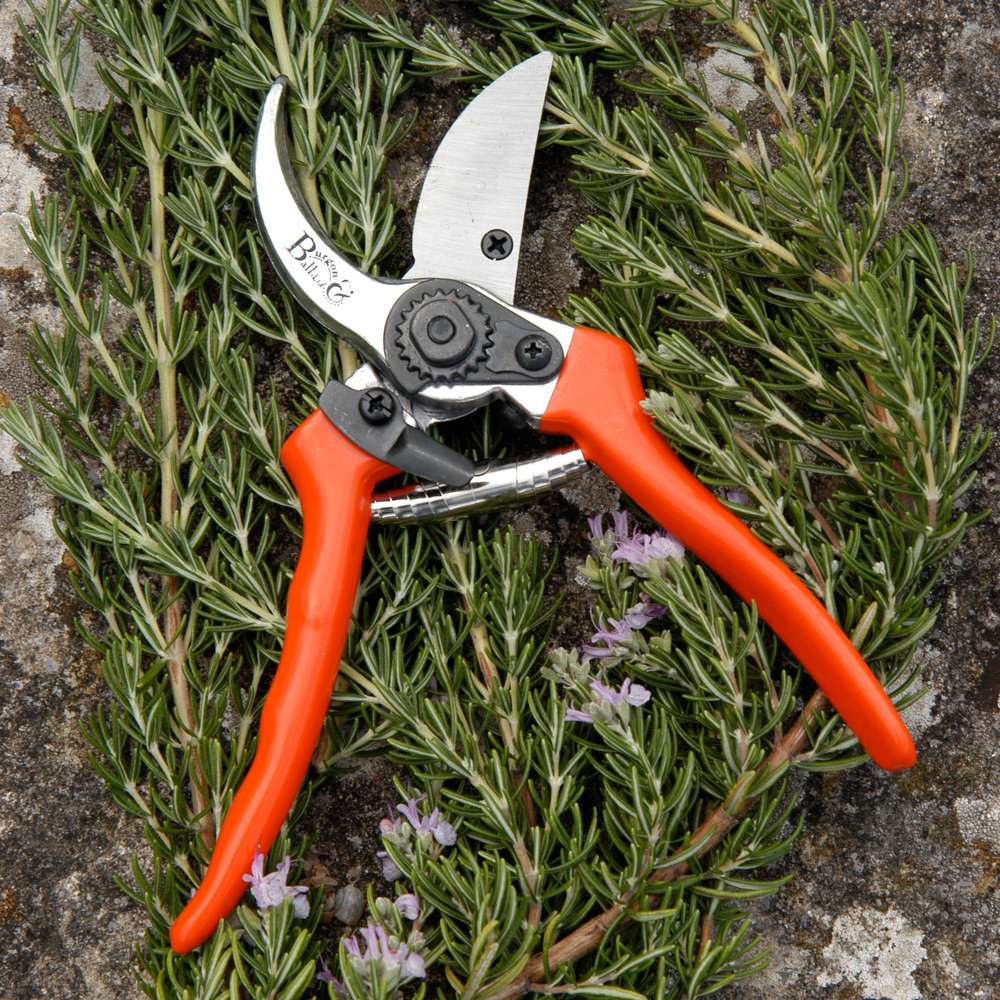 Burgon & Ball Beskærersaks